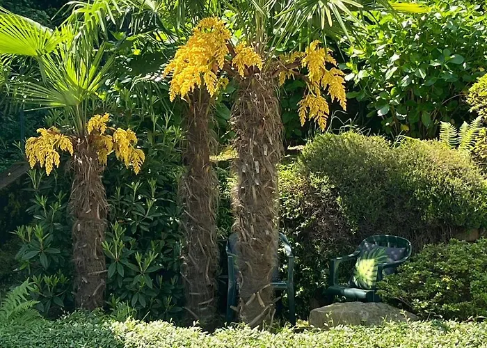 Miralago Διαμέρισμα